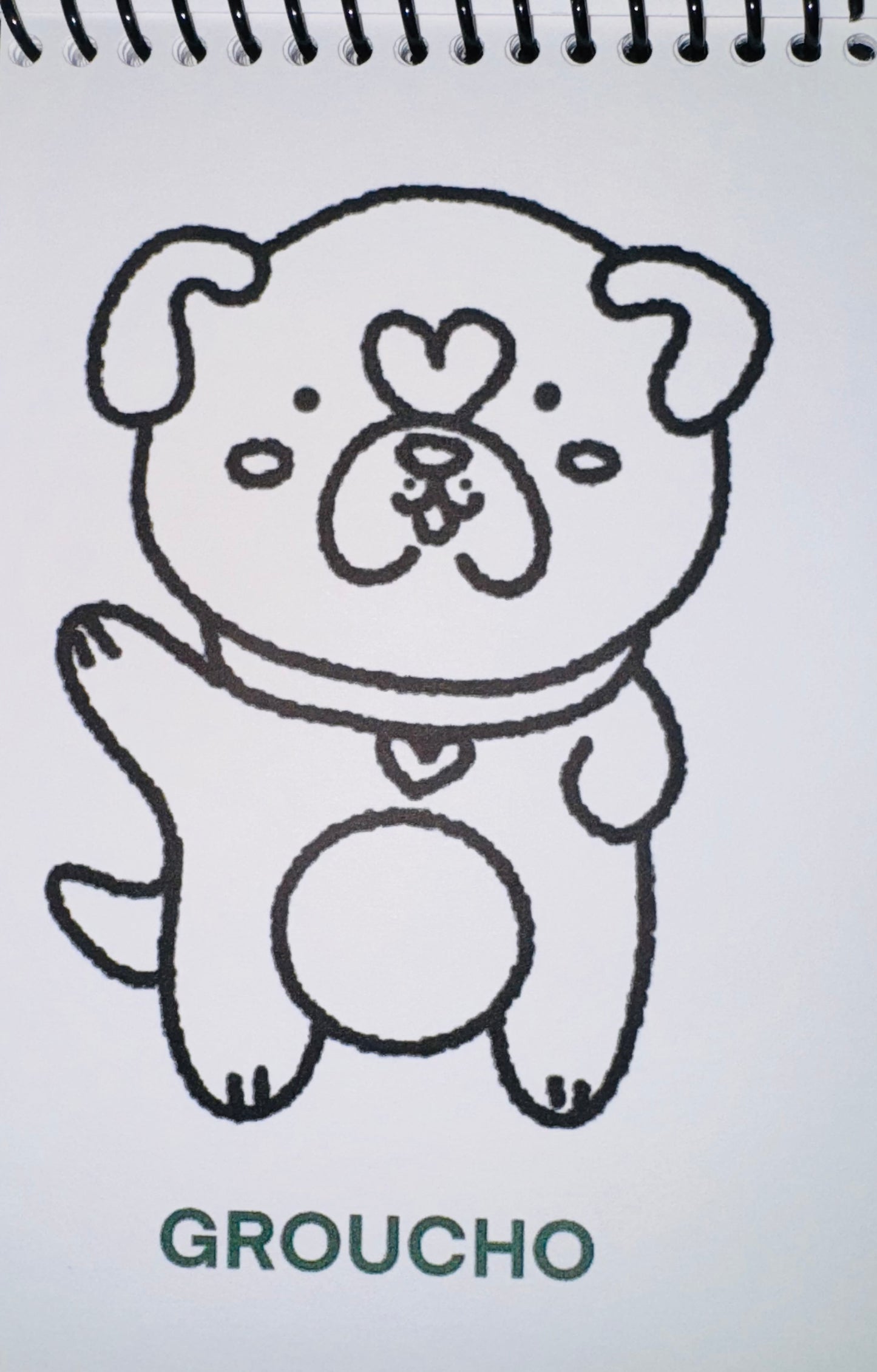Bold & Easy Coloring Book