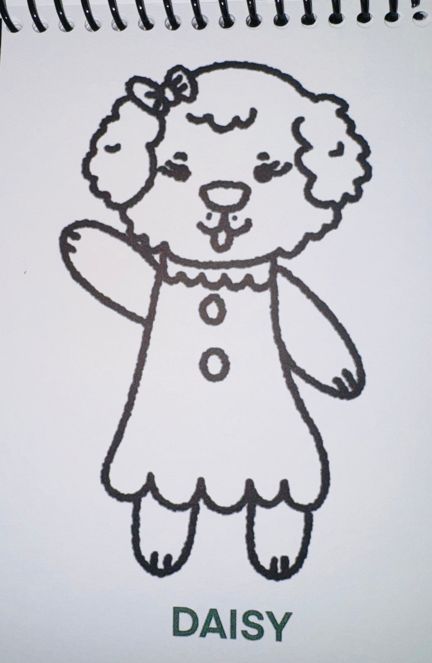 Bold & Easy Coloring Book