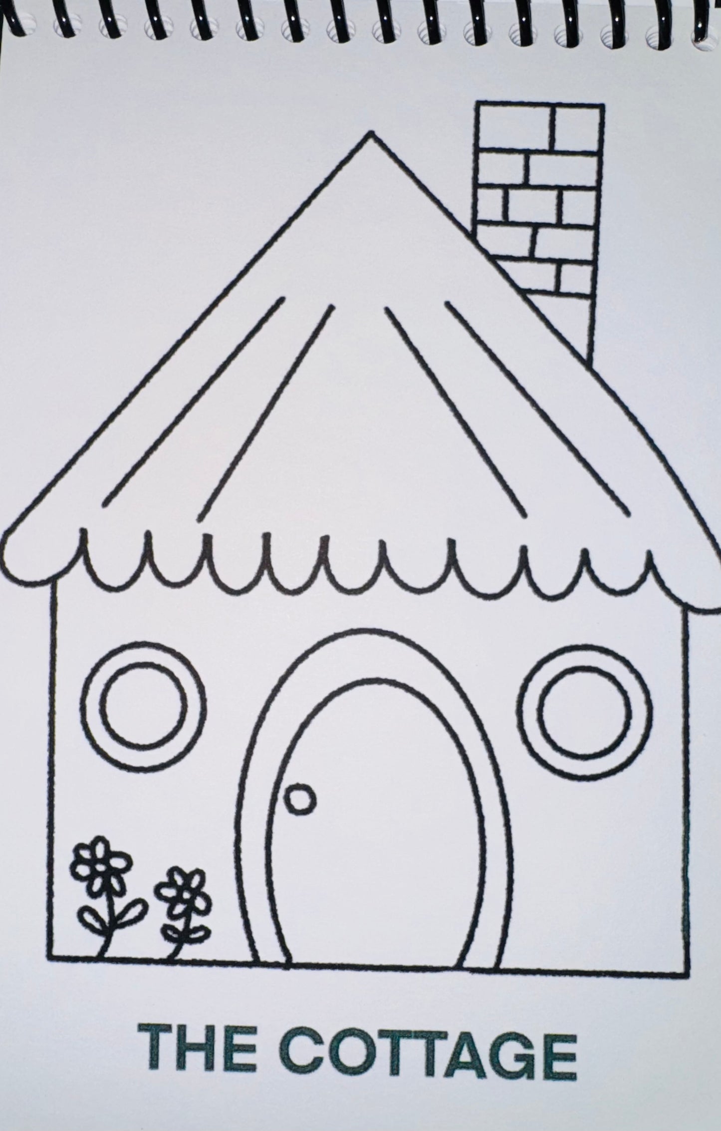 Bold & Easy Coloring Book